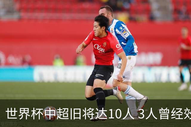 世界杯中超旧将达10人 3人曾经效力国安海港两将