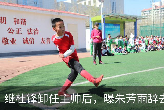 继杜锋卸任主帅后，曝朱芳雨辞去总经理职务，广东男篮开启新时代